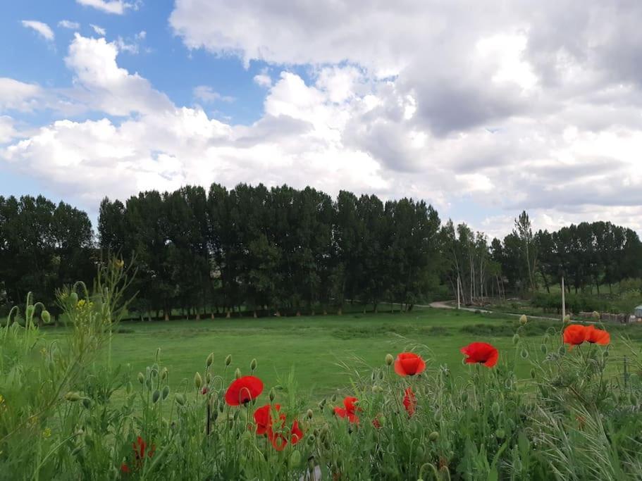 Casa Rural La Endrina Terriente ภายนอก รูปภาพ